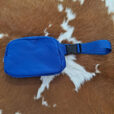 Everywhere Crossbody Fanny Pack Belt Bag