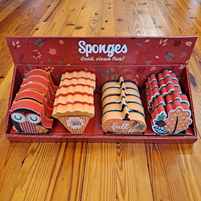 Cozy Autumn Sponges
