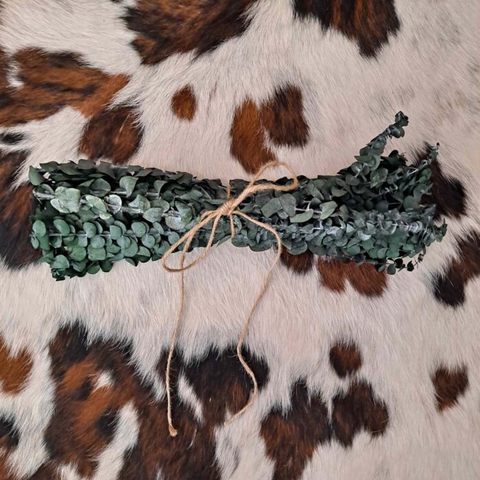 Onic Brands Hanging Eucalyptus