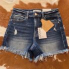 Dana-Raw Frayed Hem Ripped Denim Shorts