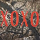 100% Cotton XOXO Woodland Camo Graphic Tee