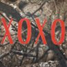 100% Cotton XOXO Woodland Camo Graphic Tee