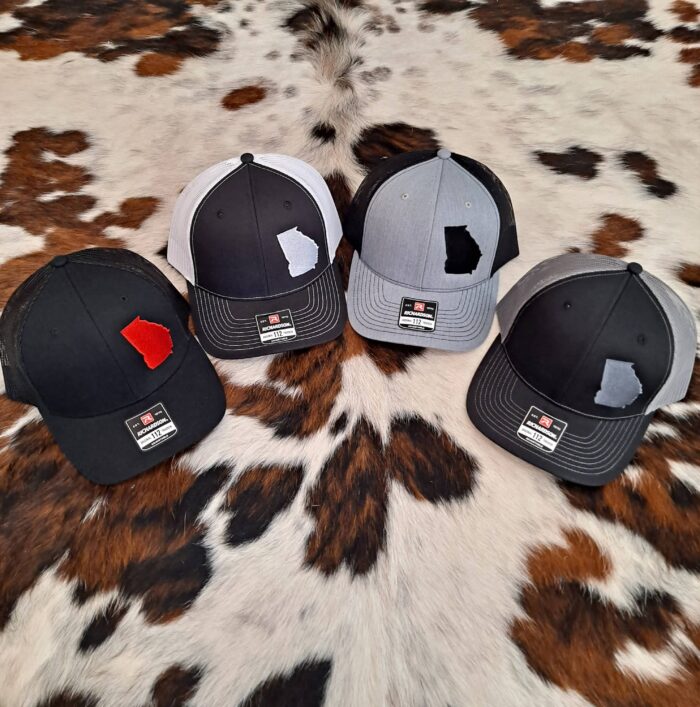 Ga State Embroidered Logo Hat