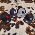 Ga State Embroidered Logo Hat