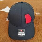Ga State Embroidered Logo Hat