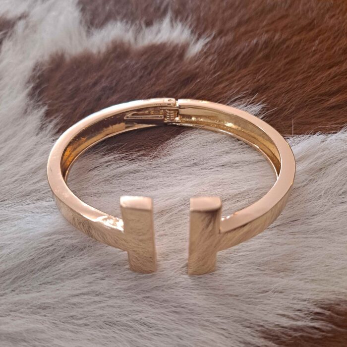 Parallel Hinged Stainless Steel Bracelet