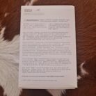 Labubu Inspired Design The Monsters Big Into Energy Bag Keychain