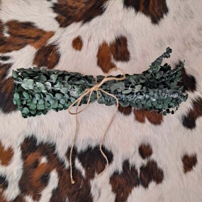 Onic Brands Hanging Eucalyptus