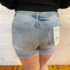 Tabby -High Rise Distressed Shorts