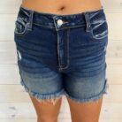 Dana-Raw Frayed Hem Ripped Denim Shorts