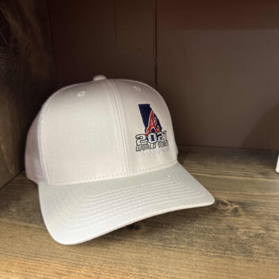 Braves Champions 2021 Hat