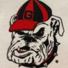UGA Love Team Graphic Sweatshirt