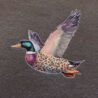 Old School Duck Graphic Sweatshirt