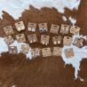 14K Gold Filled Earring Assortment