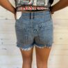 Mandy-Mid Rise Distressed Shorts