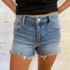 Mandy-Mid Rise Distressed Shorts